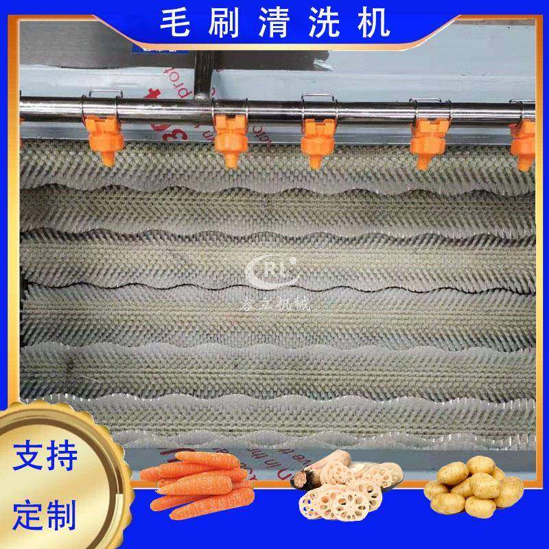供应毛辊清洗机水果萝卜樱桃萝卜清洗设备全自动红袍萝卜清洗机,清洗/食品/商业设备,其他食品加工设备,淘宝优惠券,粉丝福利购,淘宝优惠卷