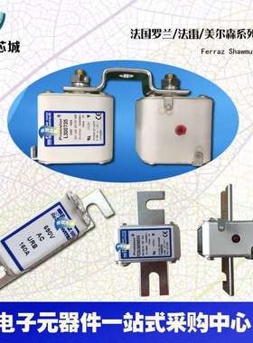 A070UD32LI500L300206A070UD32LI550M300207法国罗兰熔断器