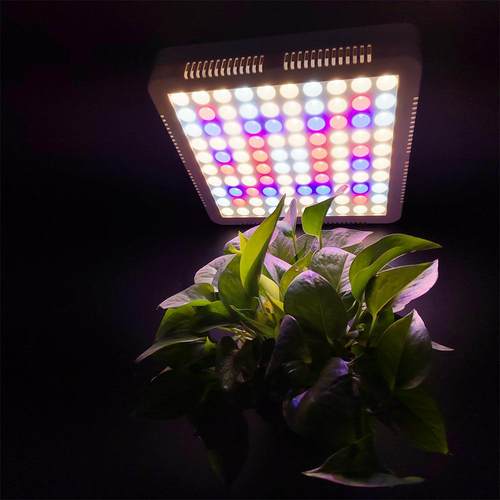 方形植物灯大功率100W带风扇散热吊线安装植物补光灯