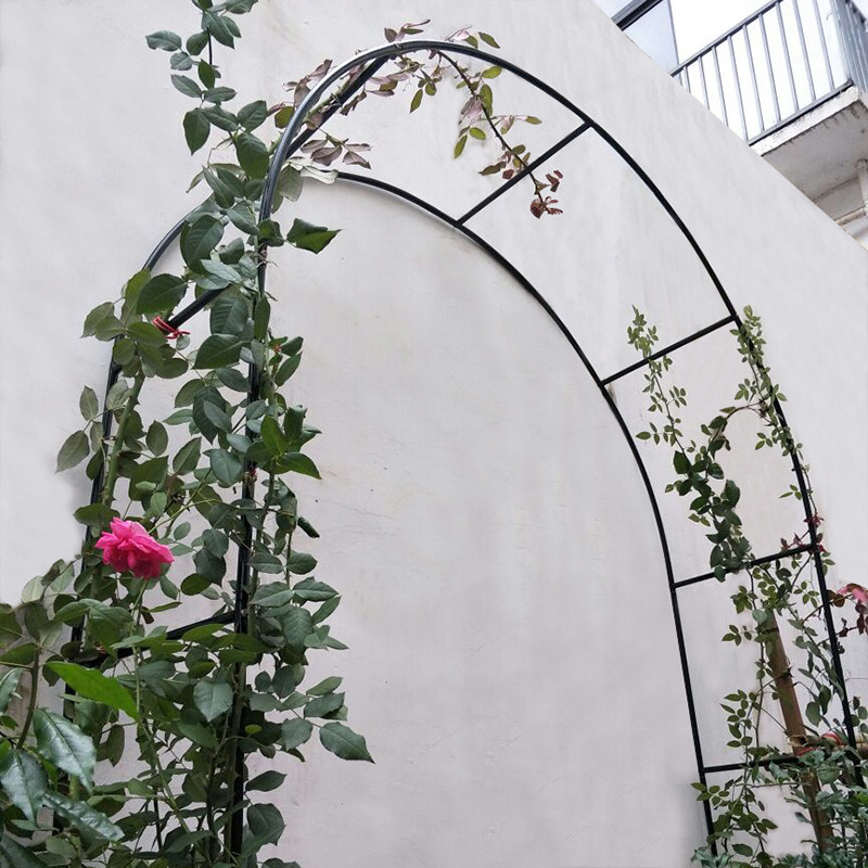 月季拱门花架爬藤架 爬藤植物支架攀爬架 葡萄蔷薇欧月拱形花架子