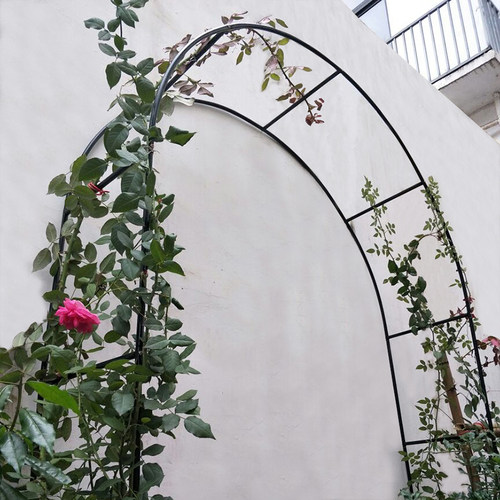 月季拱门花架爬藤架 爬藤植物支架攀爬架 葡萄蔷薇欧月拱形花架子