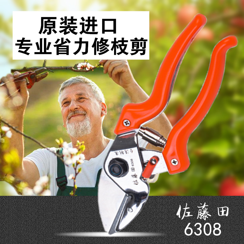 果树省力修枝剪刀园艺剪刀粗枝修枝剪花木园林剪枝剪刀树枝果树剪