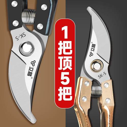 剪树枝专用剪刀果树修枝剪园林枝剪树木剪枝修剪修枝花剪园艺剪刀