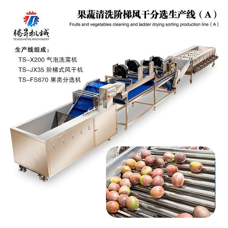 菠菜清洗生产线包心菜等菜类精加工生产线蔬菜深加工生产线,清洗/食品/商业设备,果蔬加工设备,淘宝优惠券,粉丝福利购,淘宝优惠卷