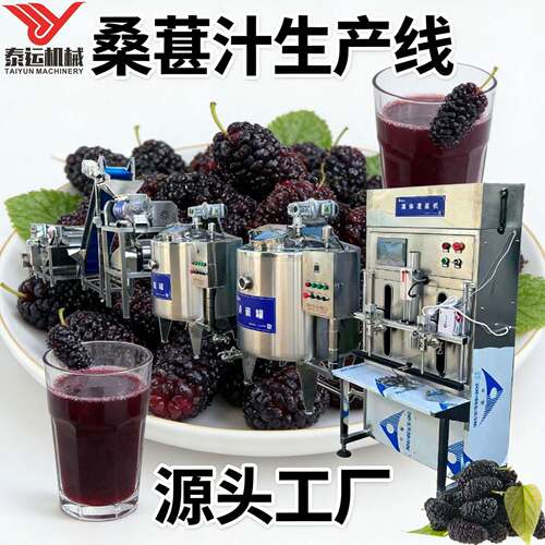 苏州桑葚汁加工全套设备汉源桑葚膏生产流水线宜宾桑葚打浆熬煮机