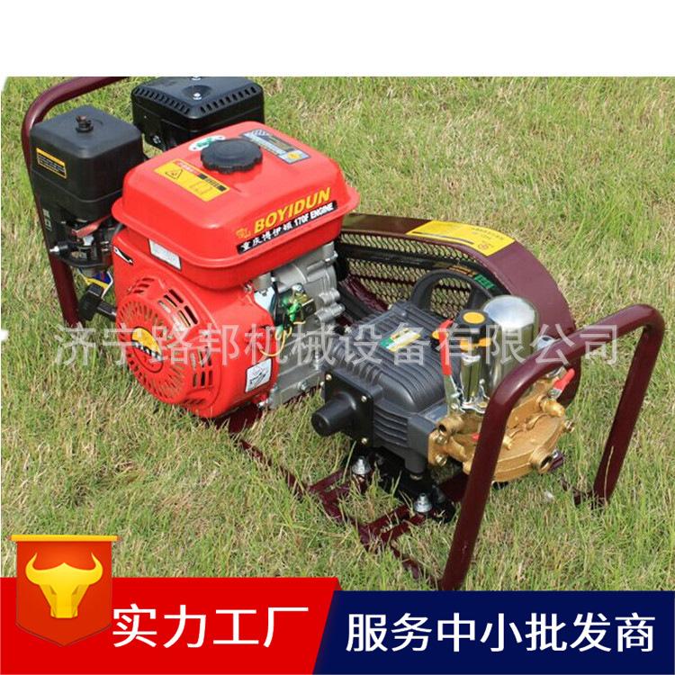 汽油动力果园打药机 高压机动打药机厂家 量大价优