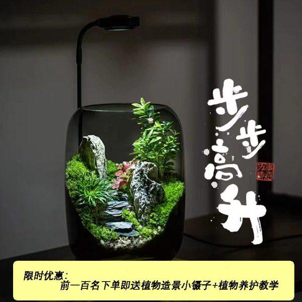 创意苔藓微景观步步升摆件生态公室桌面生态缸绿植造景盆景,饰品/流行首饰/时尚饰品新,摆件,淘宝优惠券,粉丝福利购,淘宝优惠卷