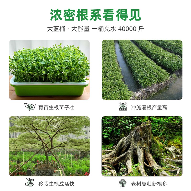 树木移栽强力生根剂大树生根母液植物通用快速生根粉壮苗剂营养液