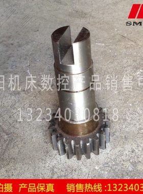 沈阳机床中捷镗床TPX6113 T6113 配件 齿轮10335 Z19 M3 原厂配套