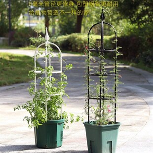 支架U型欧式 花 飘香藤爬藤花架植物爬藤架包塑圆柱花架盆栽