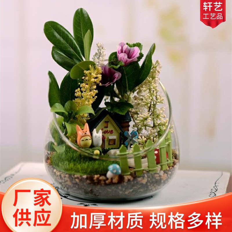 微景观斜口玻璃花瓶苔藓多肉DIY生态瓶水培花器家居工艺品
