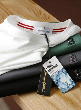 【专柜品质】轻奢级夏季男士高端商务休闲圆领短袖T恤薄款半袖