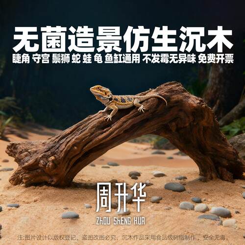 沉木一物一拍爬宠鱼缸沉木溪流缸造景树洞水草树桩蛙龟蛇守宫装饰