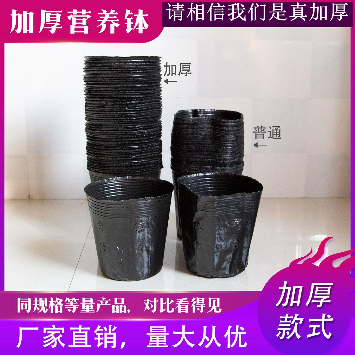加厚营养钵 软营养杯 塑料防老化育苗杯 一次性育苗袋 树苗营养袋