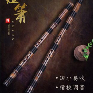竹箫八孔六云短孔新演奏乐器节初学入门洞箫紫竹专业短一箫萧吹