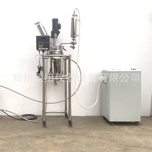10L双层不锈钢反应釜10升双层不锈钢搅拌罐蒸馏氢化聚合