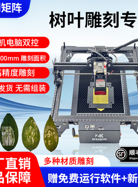 叶雕机树叶激光雕刻机小型全自动摆摊叶子打印照片机器激光打标机