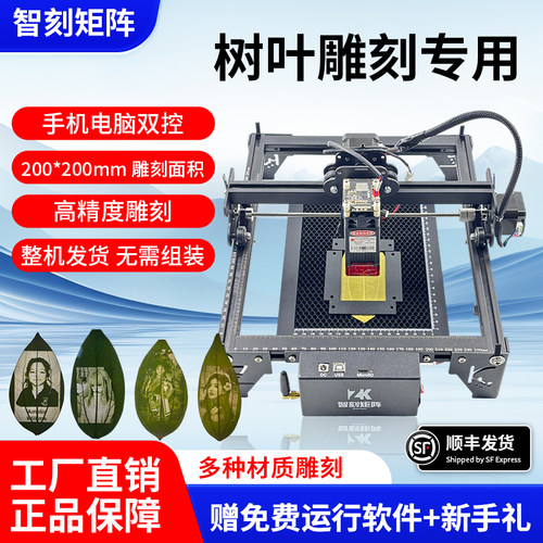 叶雕机树叶激光雕刻机小型全自动摆摊叶子打印照片机器激光打标机