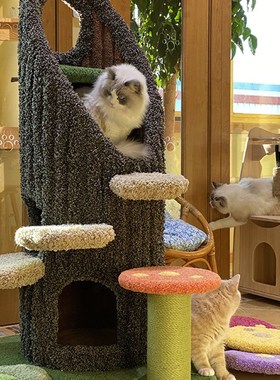 康派特-Camily绿野仙踪2019新款高级定制创意仿真猫爬架树洞猫屋