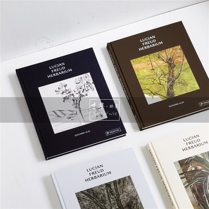 抽象油画装饰真书中古侘寂风样板间会所书房茶几英文艺术书籍摆件