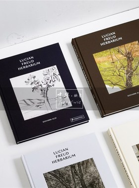 抽象油画装饰真书中古侘寂风样板间会所书房茶几英文艺术书籍摆件