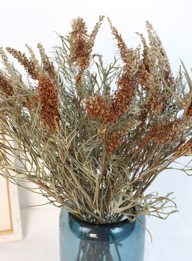 银桦叶干花 干树枝叶复古插花摆件 枯枝 枯叶装饰软装花材