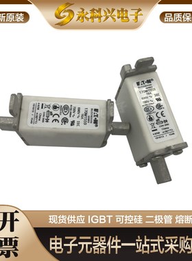 快速熔断器保险丝170M1558 1559 1560 1561 1562 1563 1564 1565