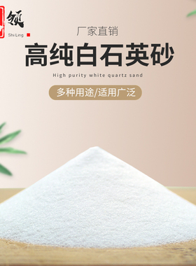 5斤装 白色石英砂造景鱼缸砂微颗粒白细沙景观装饰山水酒店灭烟沙