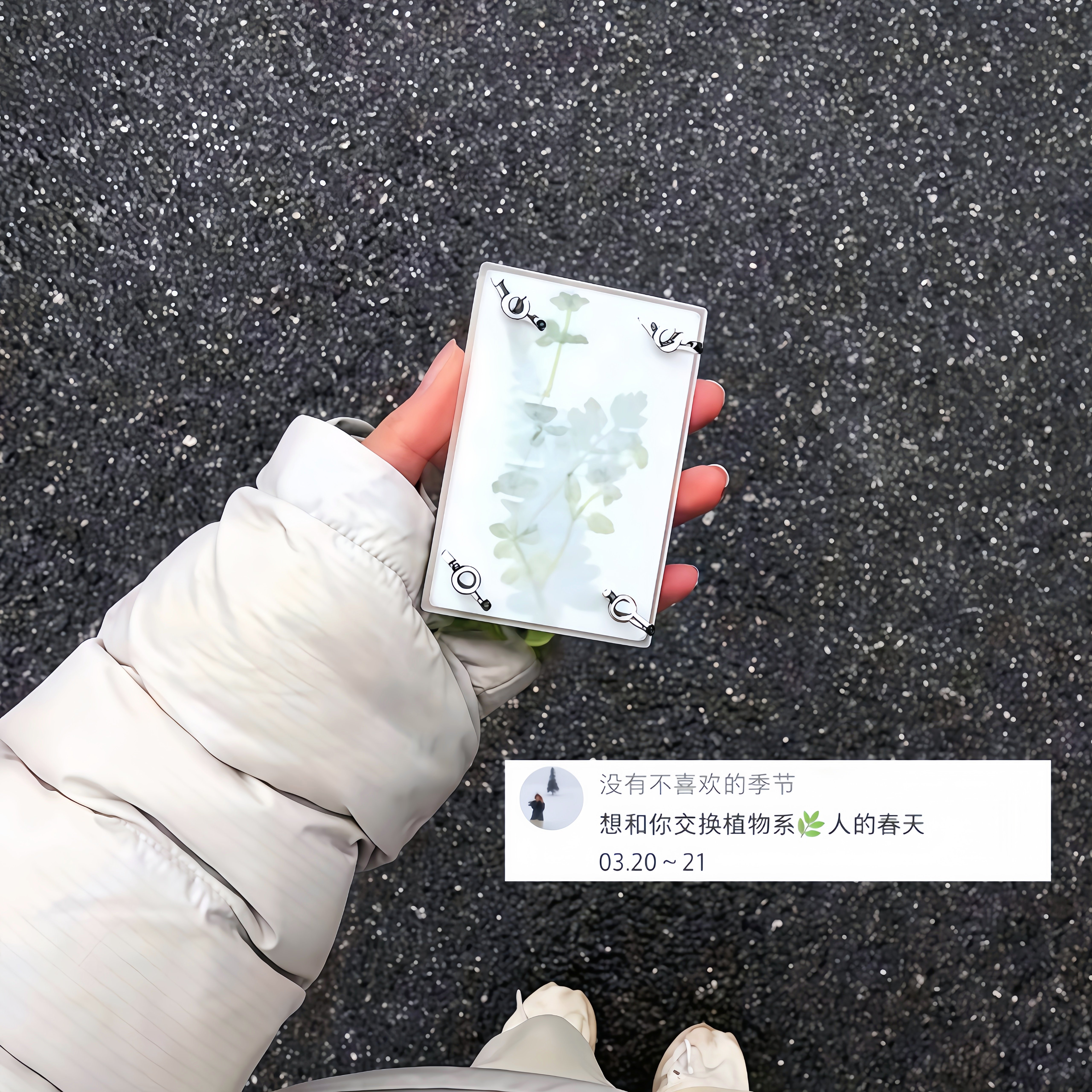 想和你交换春天~mini随身压花本