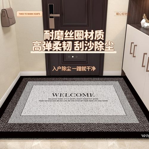 简约高级感入户门地垫丝圈门口进门可裁剪防滑家用耐磨门垫地毯
