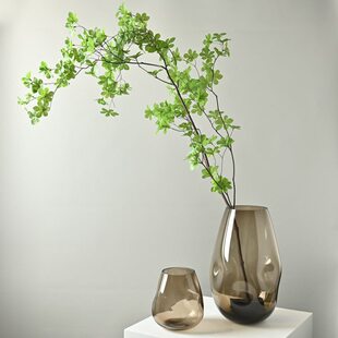 浅棕色花瓶花瓶透明钟桌面插花瓶落地居家诧寂玻璃水醉马木风吊培