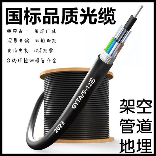 单模铠装光纤光缆GYTAq/S-12B1.3架空管道直埋各芯数可定制包邮