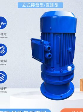 55.87.-2.01.5/摆线针轮减速机1D3-1/0减速机D3电机带XLXL//275.