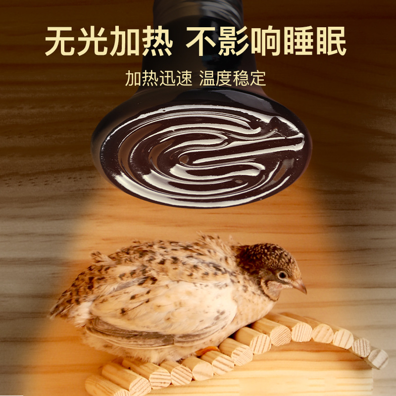 芦丁鸡保温灯卢丁鸡专用饲养箱陶瓷灯取暖养殖育雏小鸡加温加热灯