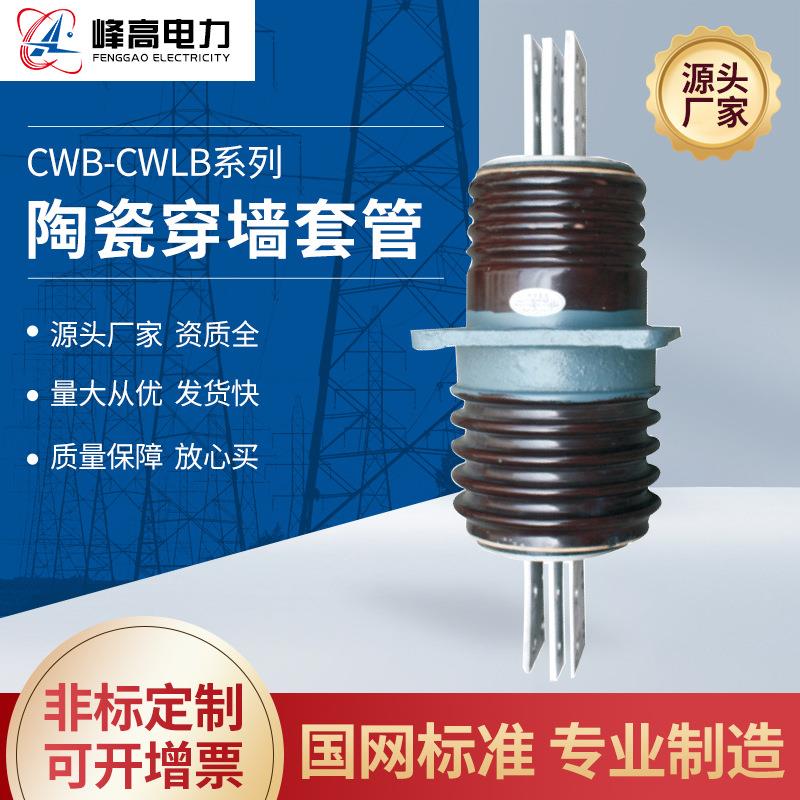 厂家供应高压穿墙套管CWB-CWLB高压陶瓷穿墙套管控制与保护