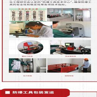 T85206 桥防 天津桥防CNFB钛合金新式 水泵钳