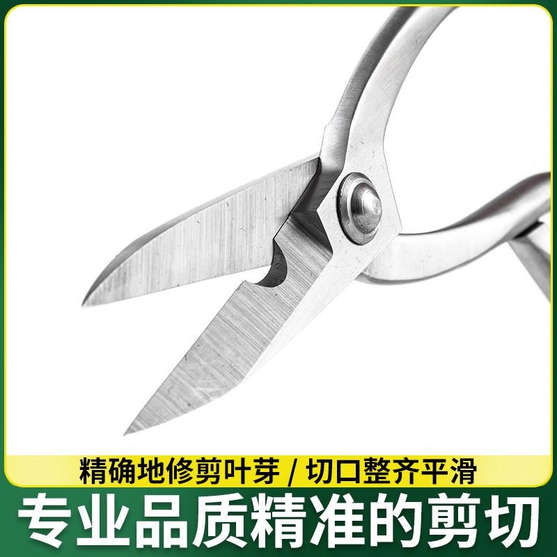 鼎木加强叶芽剪刀全不锈钢园艺剪嫩芽修枝小枝切剪盆景长杆剪刀