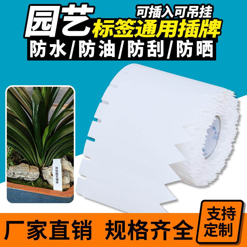 园艺插牌植物标签挂牌蝴蝶兰吊牌影印纸树木标识牌户外防水塑料牌