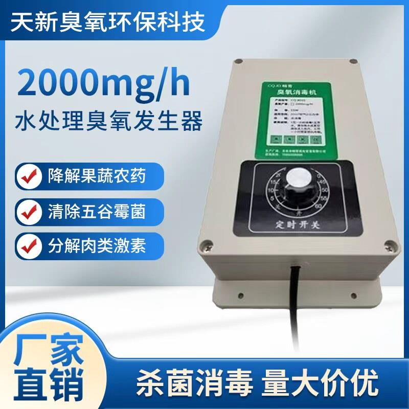 2000mg多功能水族鱼缸消毒杀菌活氧净化水质异味果蔬肉臭氧解毒机