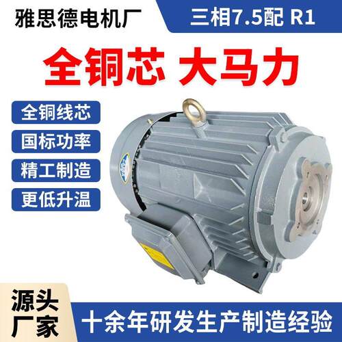三相电动机2.2/5.5/7.5/11/15W配R1/R2叶片泵电机液压马达