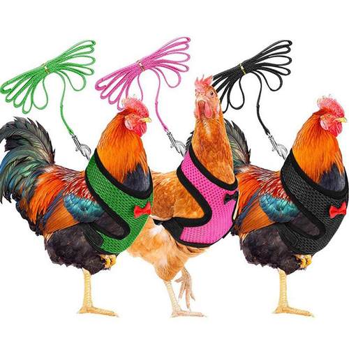 宠物胸背带狗狗牵引绳遛狗绳背带式防挣脱狗绳子小型犬胸背狗背带