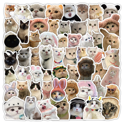 猫meme贴纸小猫咪鬼畜梗图封口贴