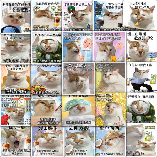 土豆猫表情包贴纸搞笑抽象猫