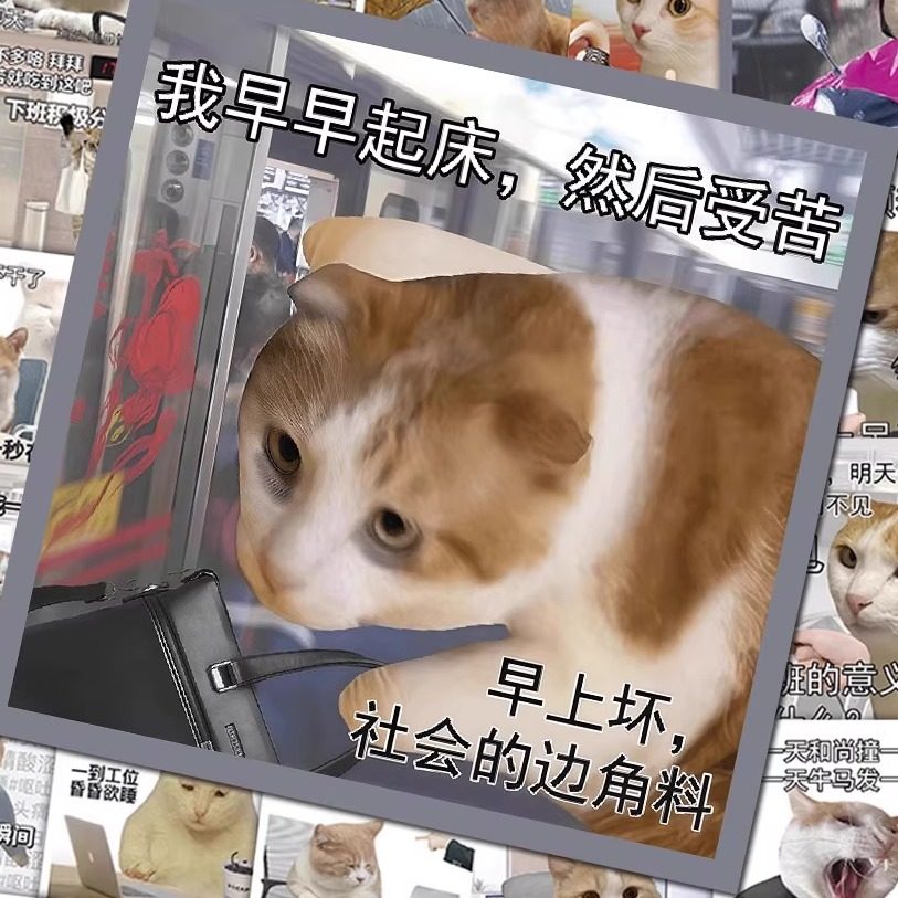 108张打工猫梗图贴纸新款沙雕