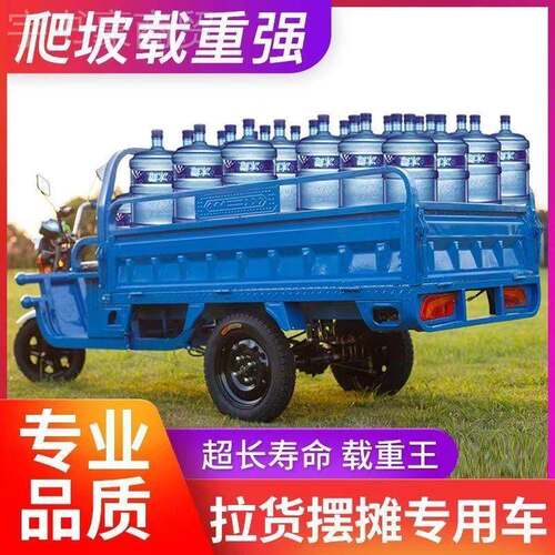 电动三车车见描述拉货载重王电瓶车农用车电瓶三轮车车快递摆摊新