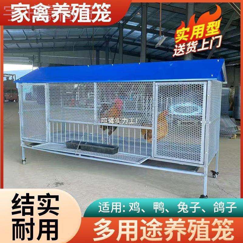 养XUANLU鸡外棚全套鸡笼户防雨鸡鸭兔笼防鼠鼠狼鸽笼笼加黄密养鸡