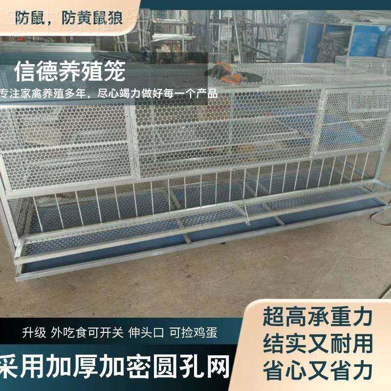 鸡笼家用鸭鹅兔笼密安装式殖笼子厚加加圆孔网防鼠荣发鑫养防黄鼠