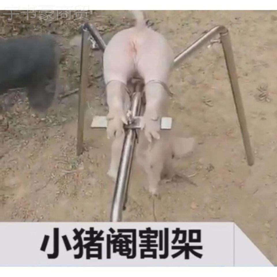 小阉割架仔猪用敲猪架刀阉割 养殖场三脚固定去阉势阉割器FKI猪猪