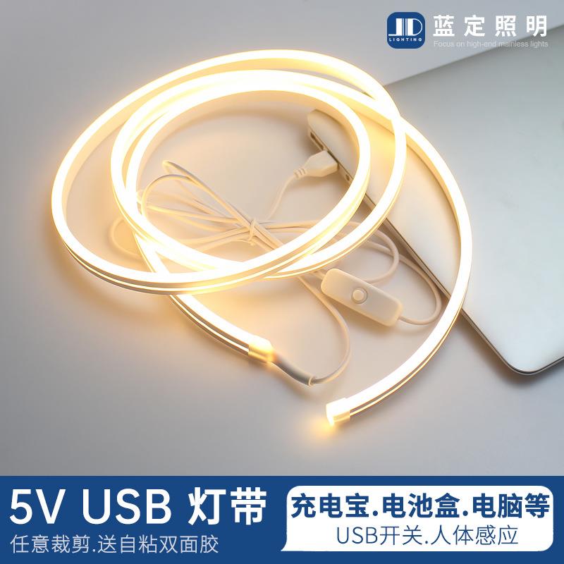 led灯带5v低压超亮电池款不插电usb柔性霓虹硅胶氛围软灯条