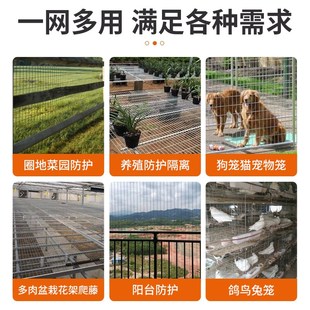 镀锌网片鸽笼鸽舍围栏底网围网加粗长孔养殖网鸟笼隔离防护铁丝网